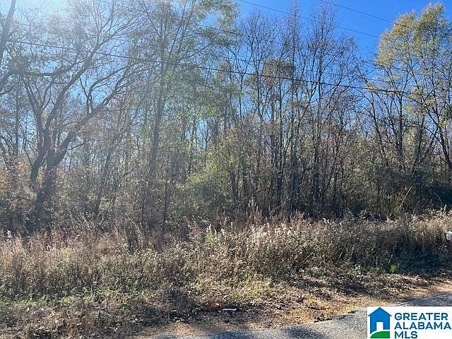 2nd image of 0 Sycamore Church Rd #6