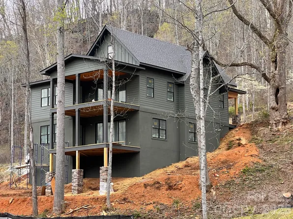 51 Bear Tree Cv, Canton, NC 28716