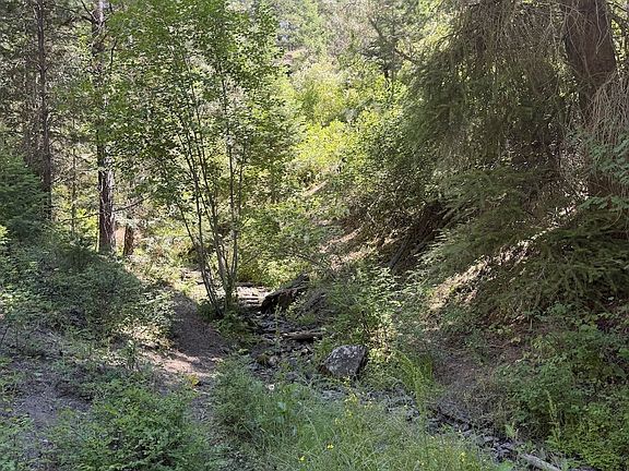 5th image of 0 Usfs #2036