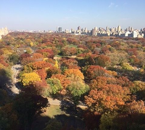 5th image of 240 Central Park S APT 26D