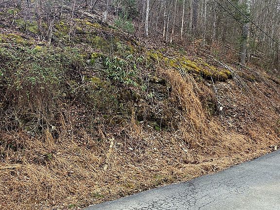 4th image of LOT 6 Wildcat Ridge Rd