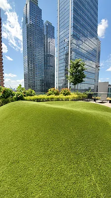 Rented by Voro New York | media 14