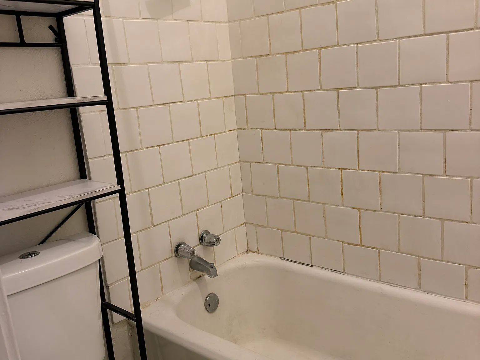 1 bed, 1000 sqft, $1,000 — Photo 2