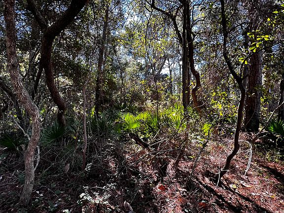 3rd image of LOT-200A Sibert Ave