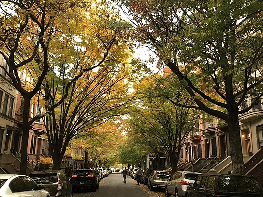 Rented by Bohemia Realty Group | media 7