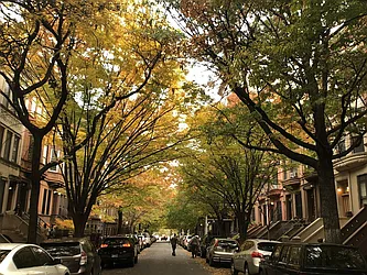 Rented by Bohemia Realty Group