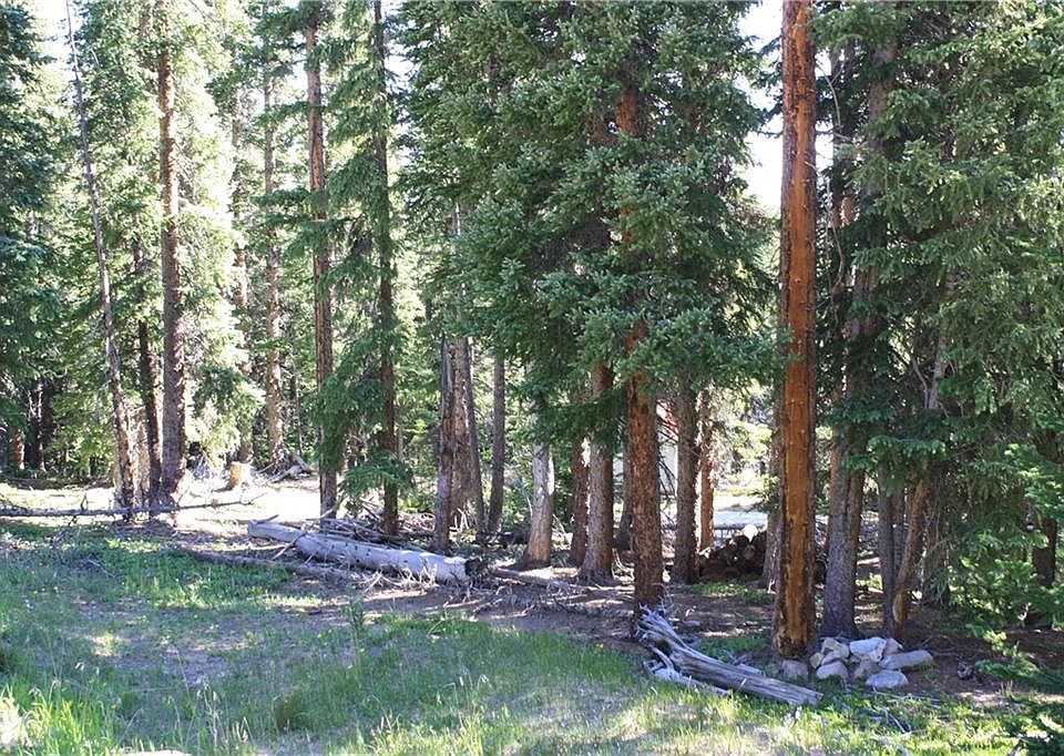 714 Silverheels Pl Fairplay, CO Zillow