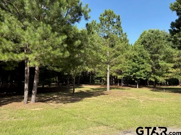 208 Pack Saddle, Hawkins, TX 75765
