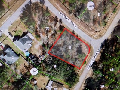 10946 N Robert Dean Way, Citrus Springs, FL, 34434