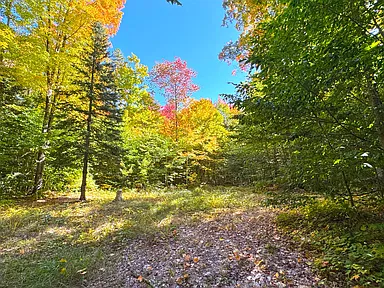 Property photo 41