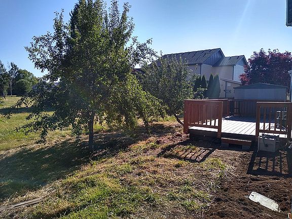 Backyard Apple Trees