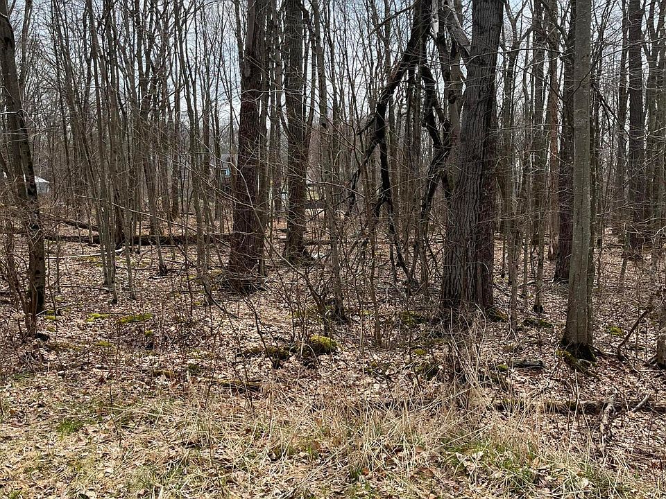 2nd image of Lochinvar Rd