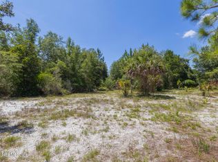 133 LANDVALE Street, Georgetown, FL 32139