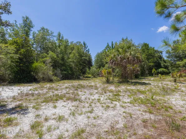 133 LANDVALE Street, Georgetown, FL 32139