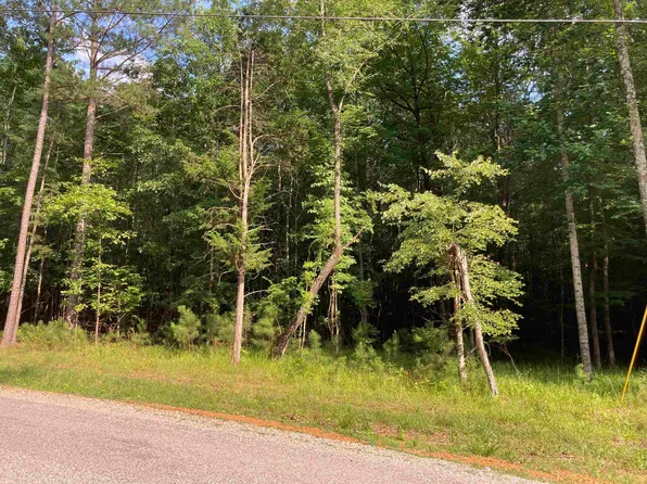 55 Timber Ridge Dr #55, Counce, TN 38326