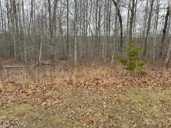 50245-50194 50148 Buckeye Ln, Crawford, TN 38554