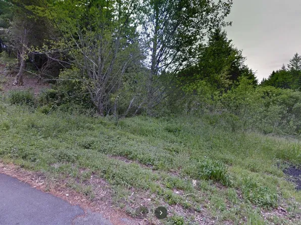 94 Landis Rd, Whitethorn, CA 95589