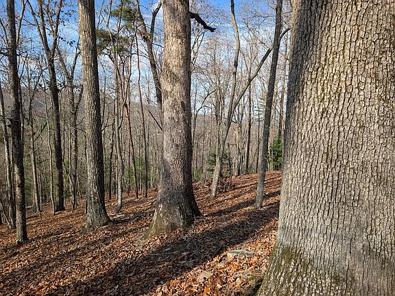 4th image of 902 Mountain Top Drive LOT 15B
