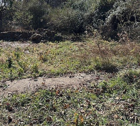 5th image of 329 Plantation Rd