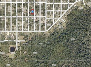 LOT 37 Pine St LOT 37, Paisley, FL 32767