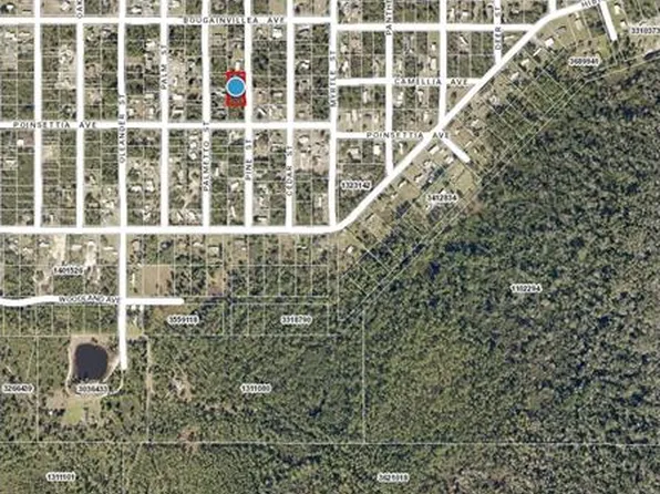 LOT 37 Pine St Lot 37, Paisley, FL 32767