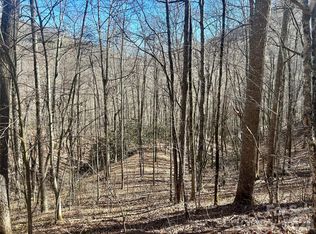 0 Deep Gap Vw, Whittier, NC 28789