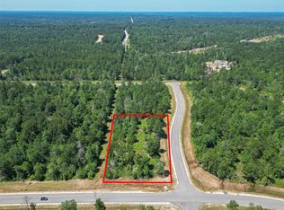 123 Gypsum Rd, Willis, TX 77378