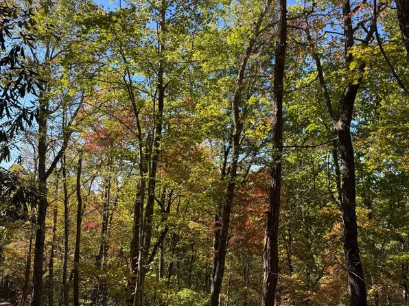 0 Ownby Cir Lot 3, Gatlinburg, TN 37738