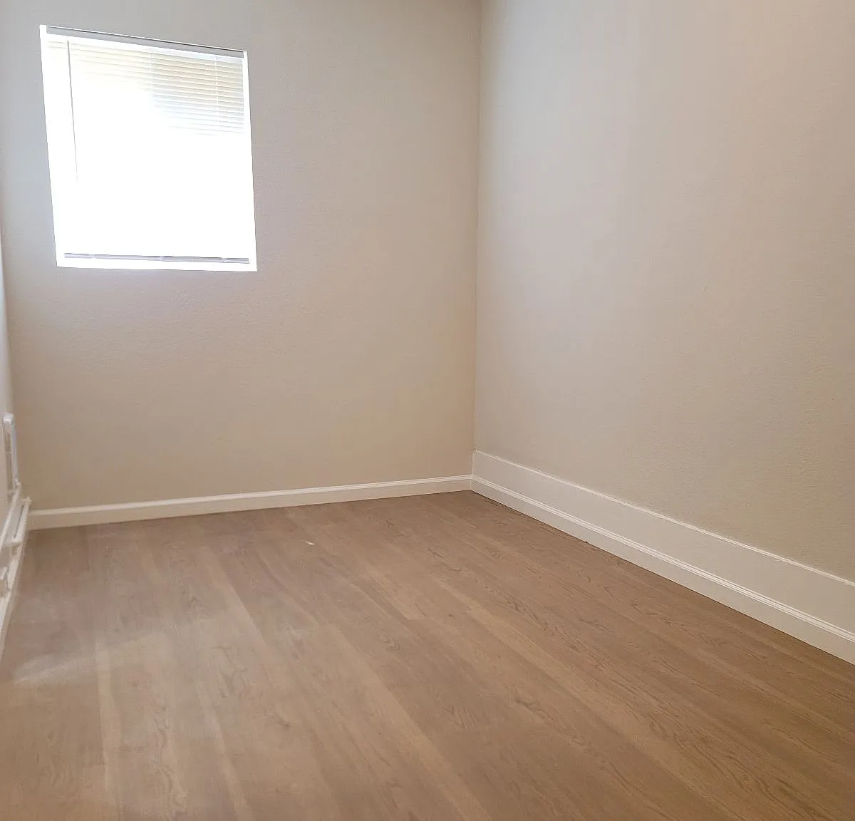 1 bed, 525 sqft, $4,200 — Photo 4