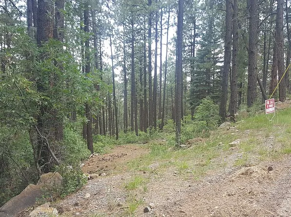 356 Elk Dr, Bayfield, CO 81122