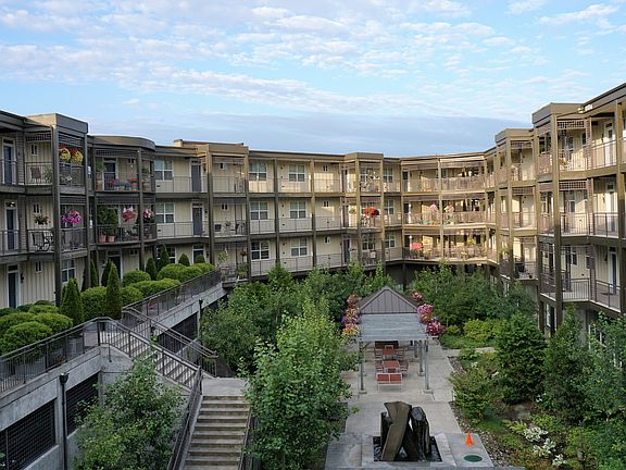 courtyard garden