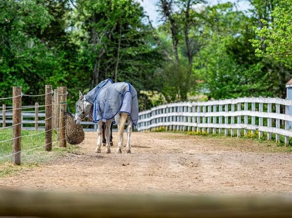 12500 Shannon Hill Rd, Louisa, VA 23093