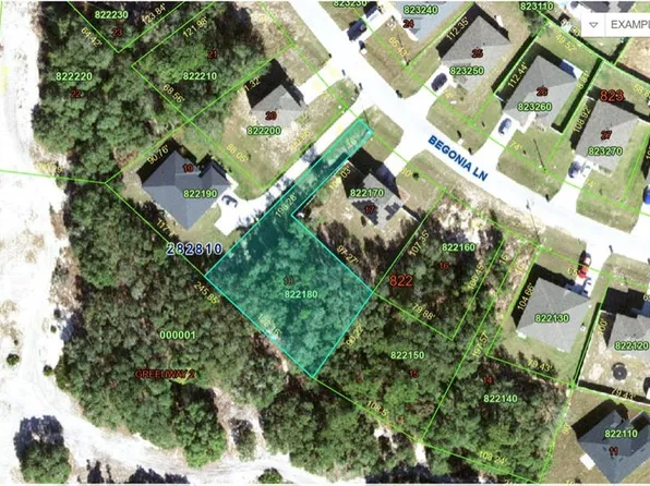 224 Begonia Ln #18, Kissimmee, FL 34759