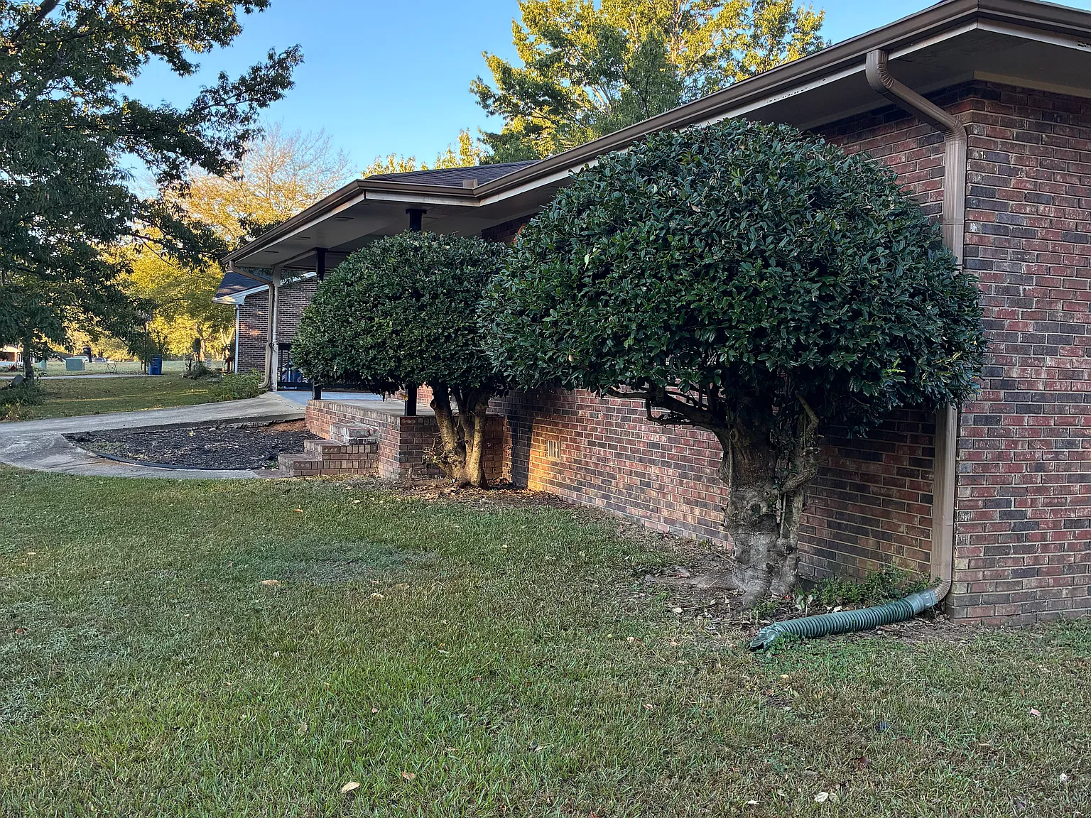 3 bed, 1000 sqft, $1,600 — Photo 2