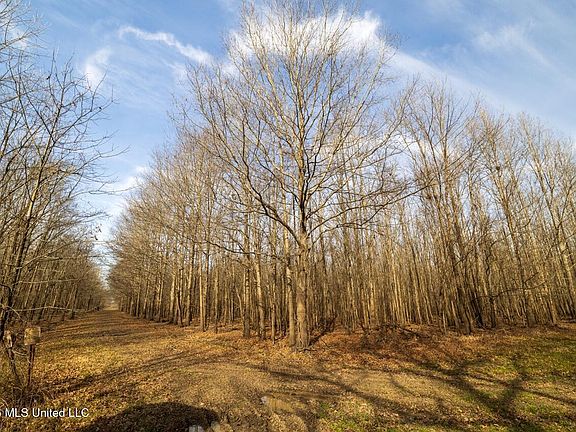 68th image of this home