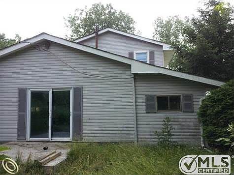 Riley Back View (1).jpg