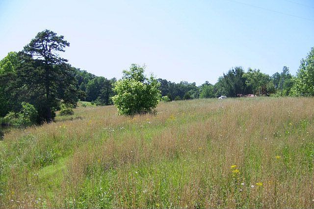 2nd image of 2733 Cedar Creek Rd