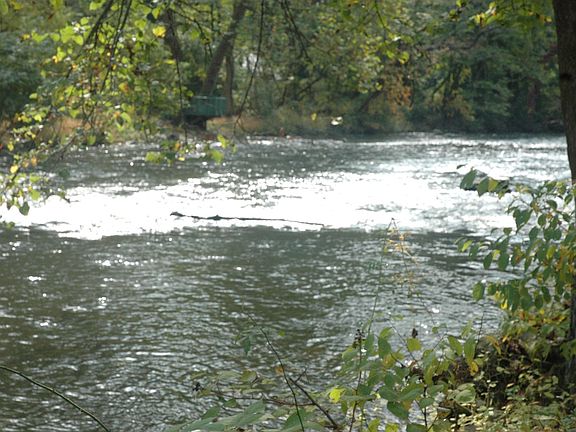 Musconetcong River out your back door