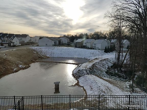 Pond, Matured Tree frm Patio
