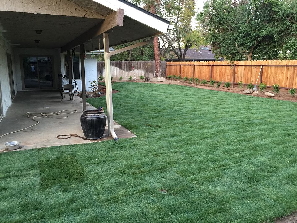 New landscaping for backyard