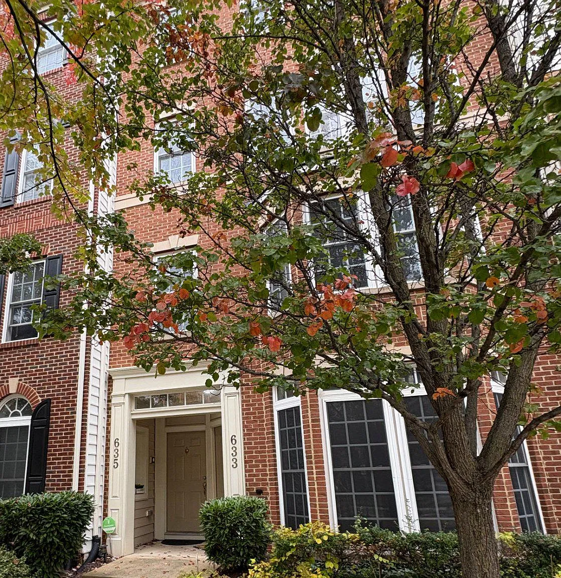 3 bed, 2.5 bath, 2894 sqft, $2,900 — Photo 4