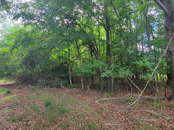 3rd image of 0 Lester Rd