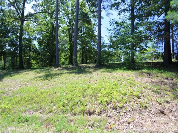 54 Pine View Dr, Benton, KY 42025