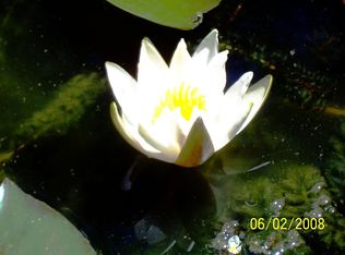 6561 Wheeler Rd, Paradise, CA 95969