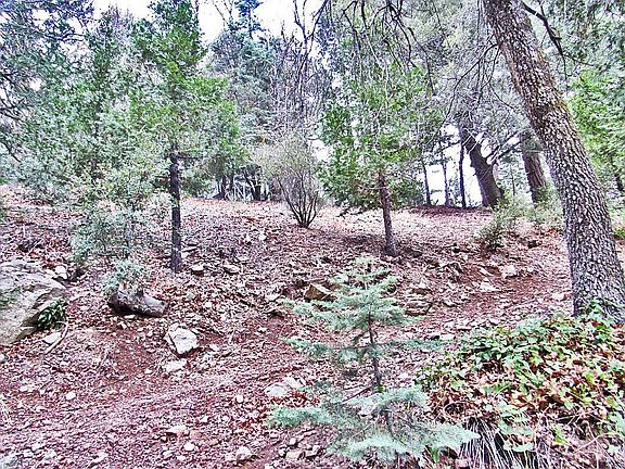 5th image of Alder Creek Rd