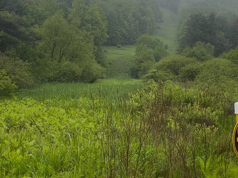 View from road