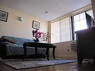 311 Saint Nicholas Avenue #2 image 1 of 17