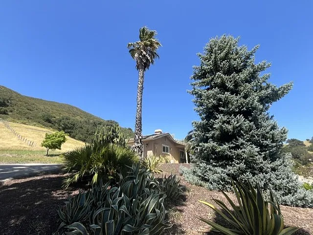 Building Photo - 13900 Los Altos Rd