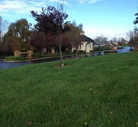 5th image of 9431 Eagle Springs Ct