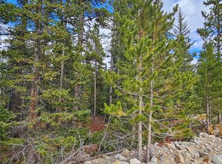 100 Miners Way, Fairplay, CO 80440